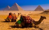 Египет намерен присоединиться к Азиатскому инвестиционному банку