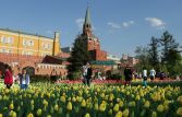 Управделами президента: к Дню Победы расцветут кремлевские сады и клумбы