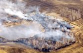В России горят 100 лесных пожаров площадью более 193 тыс. га