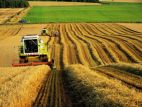 Первый укос многолетних трав в Белоруссии выполен более чем на три четверти