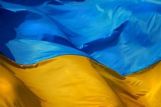 Украину хотят ампутировать от участия в евразийском проекте - глава комитета Госдумы