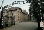 Россия перечислила $1 млн в фонд, занимающийся реставрацией музея в Освенциме