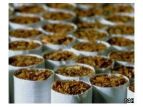 Не иссякает поток контрабандных сигарет из Белоруссии в Прибалтику