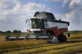 Росстат: объем сельхозпроизводства в России в 2013 году вырос на 6,2%