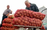Россельхознадзор может ограничить ввоз картофеля из Белоруссии