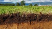 Ученый: в Беларуси не зафиксировано ущерба урожаю в связи с погодой