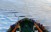 Китай открыл четвертую полярную станцию в Антарктиде