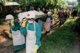 ВОЗ: число жертв вируса Эбола в странах Западной Африки превысило 4 тыс. человек