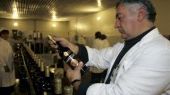 Россия снова стала крупнейшим импортером грузинского вина — Минсельхоз Грузии
