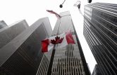 В канадском Эдмонде началось расследование из-за угроз террористов "Аш-Шабаб"