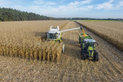 Уборка кукурузы на силос и зеленый корм в Белоруссии практически завершена