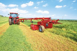 В Белоруссии осталось заготовить менее 5% травяных кормов