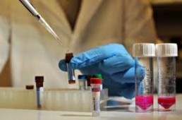 В США профессор подделал данные при разработке вакцины против СПИДа