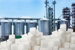 В Белоруссии назначены руководители двух сахарных заводов