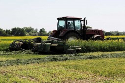 Три четверти сенажа в Белоруссии уже заготовлено