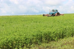 Второй укос многолетних трав в Белоруссии выполнен более чем на 80%