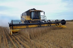 Уборка зернобобовых культур в Белоруссии набирает обороты