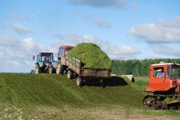План по заготовке сенажа в Белоруссии практически выполнен