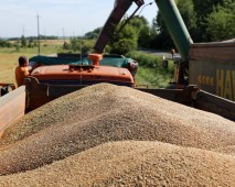 Брестская область первая из регионов намолотила миллион тонн зерна