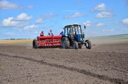 Сев озимых зерновых культур в Белоруссии практически завершен