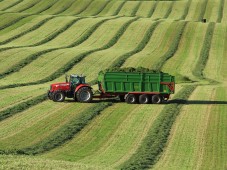 Травяные корма в Белоруссии осталось заготовить менее чем на 10% от необходимого объема