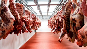В феврале ЕЭК рассмотрит введение пошлины на говядину