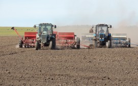 План по севу зерновых в Белоруссии в целом выполнен