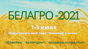 Под Минском пройдут крупные сельскохозяйственные выставки