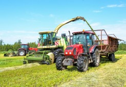 В Белоруссии осталось заготовить менее 5% травяных кормов