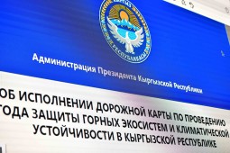 Состоялось первое заседание оргкомитета по подготовке и проведению Года защиты горных экосистем и климатической устойчивости