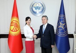 Замглавы МИД Японии встретился с руководителем МИД Кыргызстана