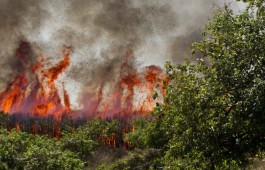 В столице Никарагуа объявлена "экологическая тревога" из-за пожара на складе с пластиком  